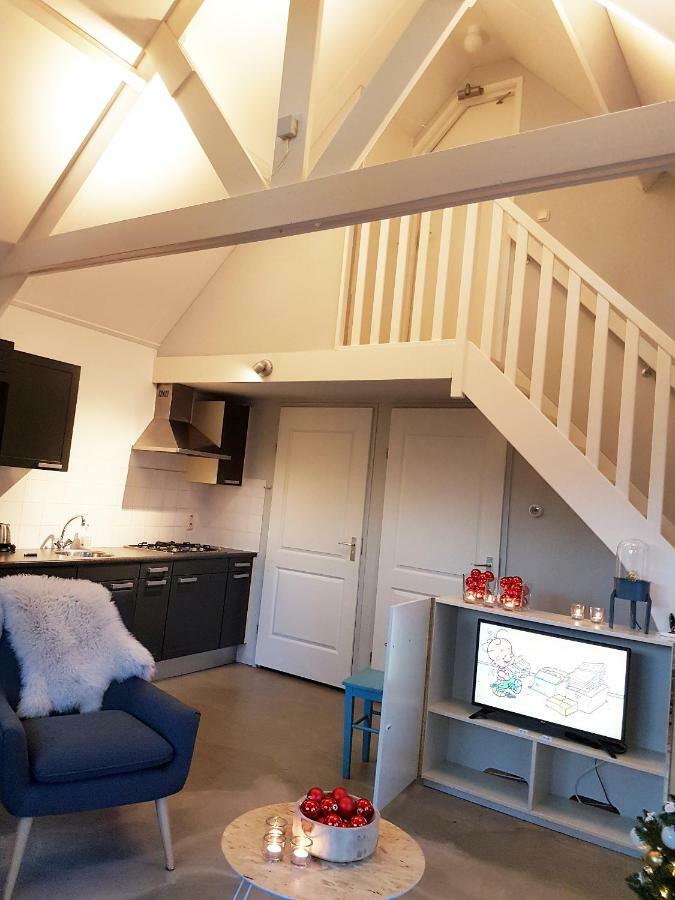 De Rozenbottel Holiday home Tzummarum